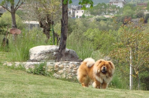 ZEUS dando un paseo por la montaña.